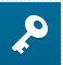 key-icon